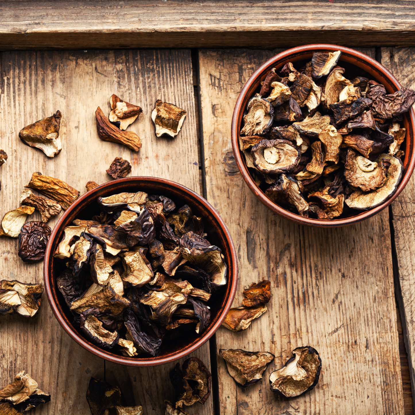 Funghi Seco - 100g Paladeria