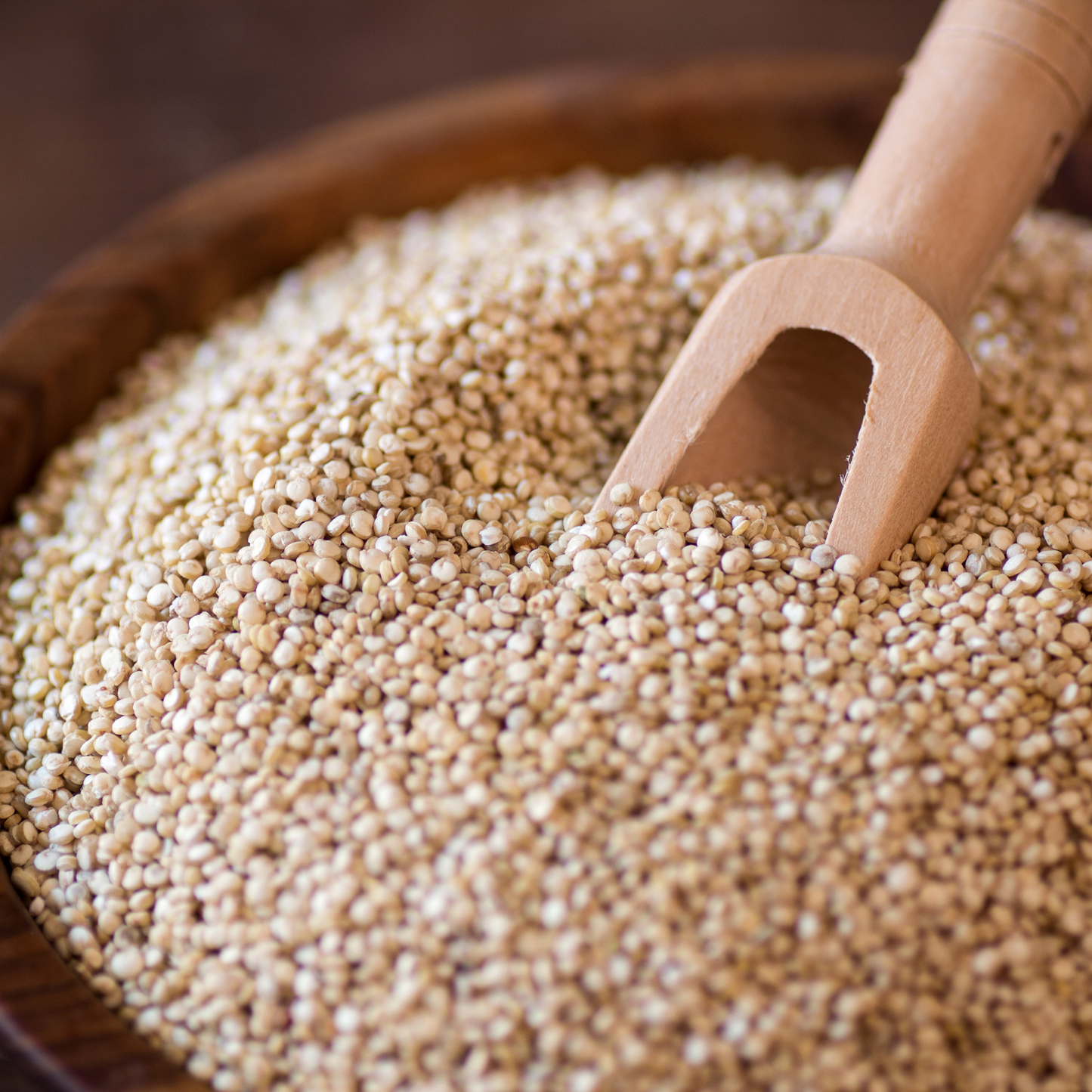 Quinoa Branca em grãos - 100g Paladeria