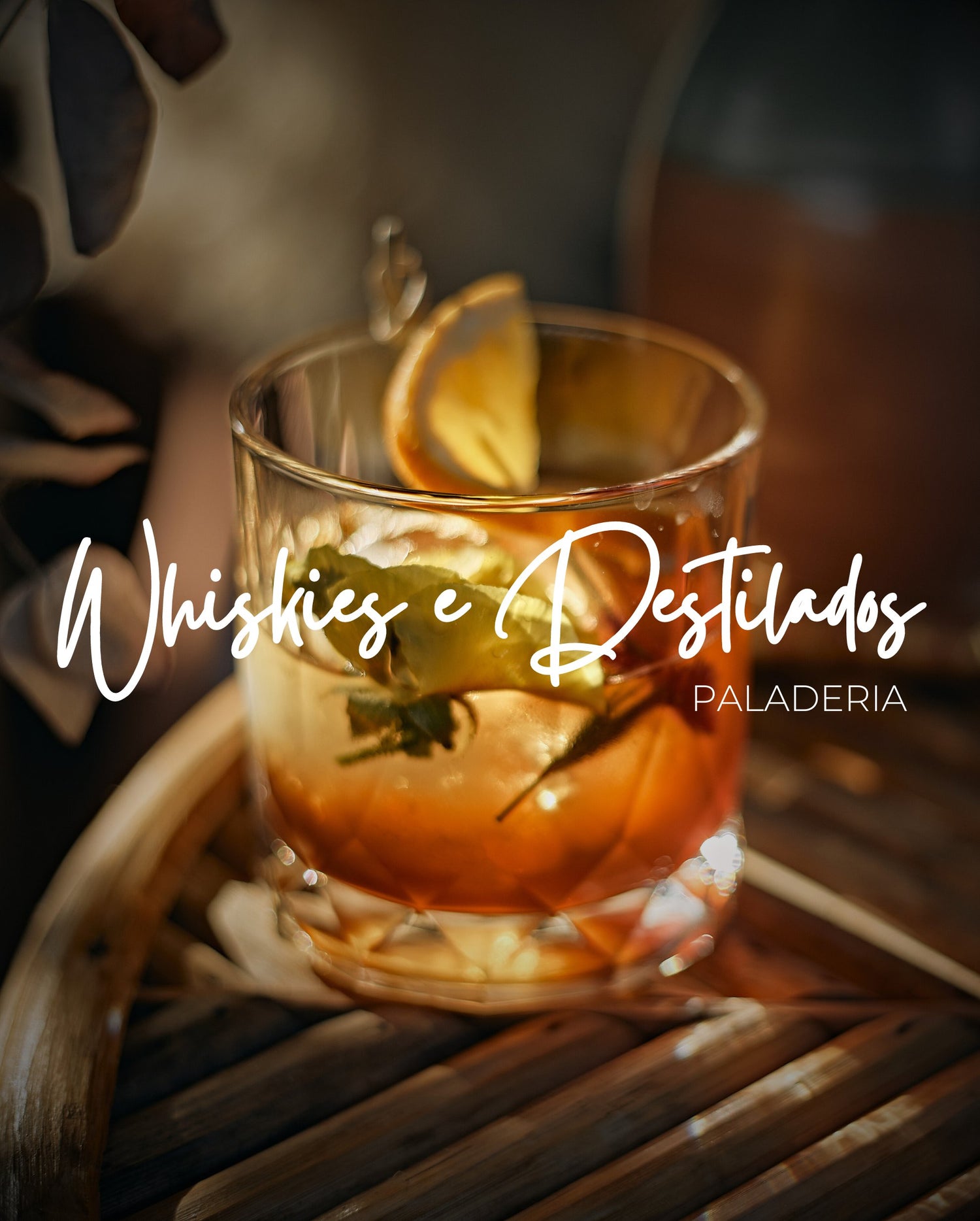 Whiskies & Destilados