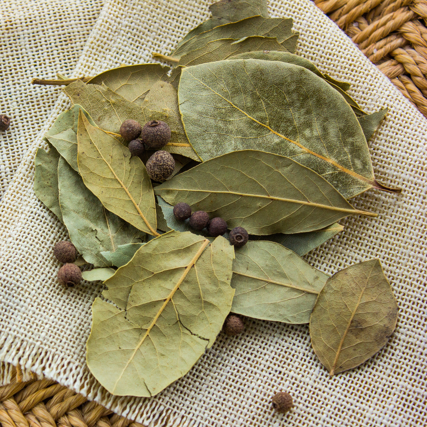 Folhas de Louro Seco - 100g Paladeria