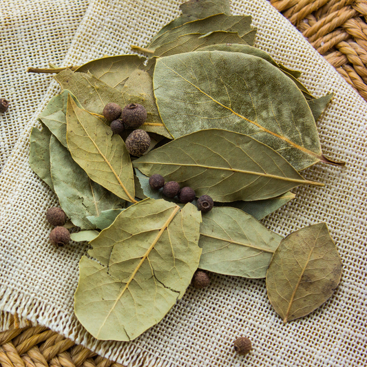 Folhas de Louro Seco - 100g Paladeria
